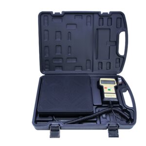 Cantar digital RCS 220