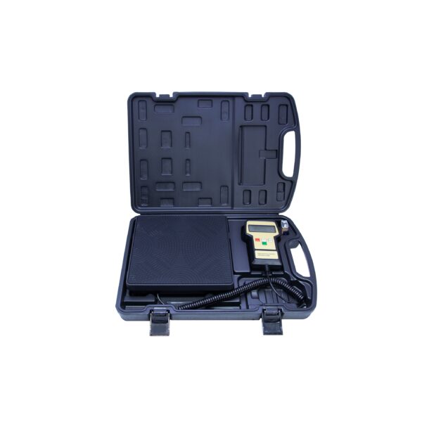 Cantar digital RCS 220